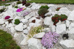 IMG_20200509_105338