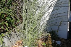 IMG_20200904_105359
