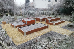 IMG_20201128_102003