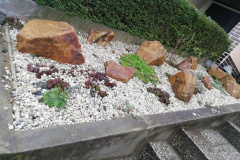 IMG_20201223_135902
