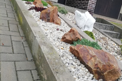 IMG_20201223_135921